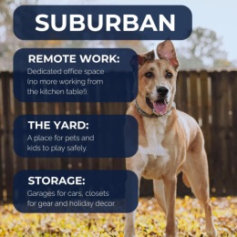 a cute dog in a yard